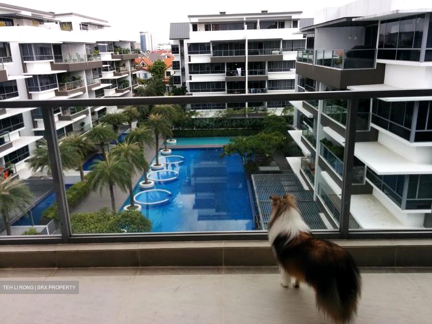Elliot Road (D15), Condominium #639481691